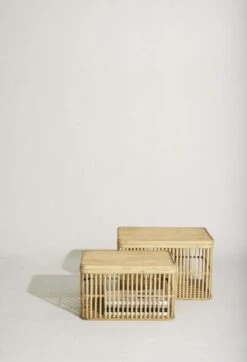 Hubsch Cheery Manden Set Van 2 Stuks - 031501 -Kwaliteitsmeubelwinkel hubsch cheery manden set van 2 stuks 031501 7