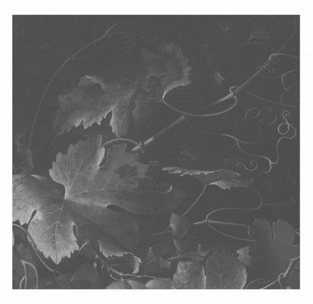 KEK Amsterdam Black & White Flowers Behang 4 KEK Amsterdam Black & White Flowers Behang - Afbeelding 4