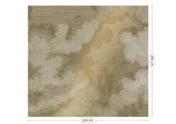 KEK Amsterdam Engraved Clouds Goud Behang MW-011- 300x280cm