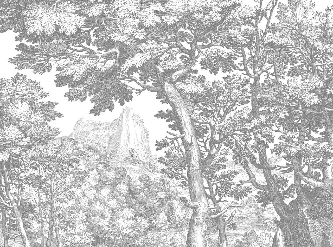 KEK Amsterdam Engraved Landschappen Behang Grijs WP-780 300x280cm 1 KEK Amsterdam Engraved Landschappen Behang Grijs WP-780 300x280cm