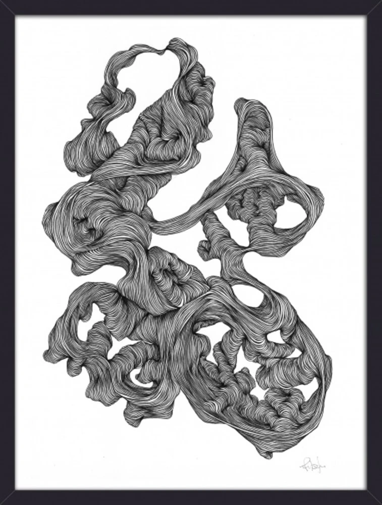 Nordal Rocaille Illustration - Zwart/wit 1 Nordal Rocaille Illustration - Zwart/wit