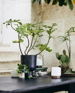 Nordal Troy Draagbare Lamp - 59081 7 Nordal Troy Draagbare Lamp - 59081 -Kwaliteitsmeubelwinkel nordal troy draagbare lamp 59081 3